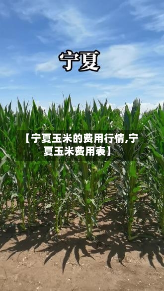 【宁夏玉米的费用行情,宁夏玉米费用表】-第2张图片