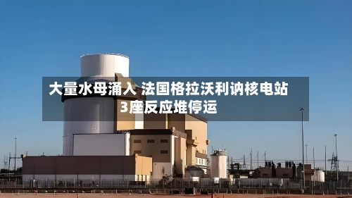 大量水母涌入 法国格拉沃利讷核电站3座反应堆停运-第2张图片