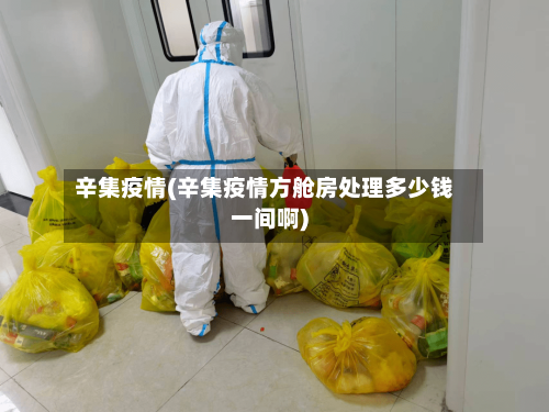 辛集疫情(辛集疫情方舱房处理多少钱一间啊)