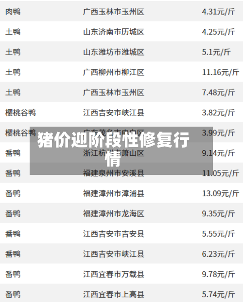 猪价迎阶段性修复行情-第3张图片