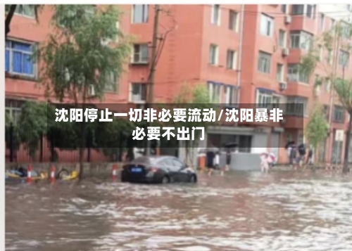 沈阳停止一切非必要流动/沈阳暴非必要不出门