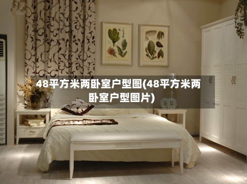 48平方米两卧室户型图(48平方米两卧室户型图片)