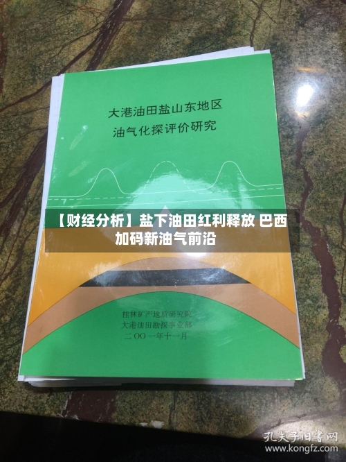 【财经分析】盐下油田红利释放 巴西加码新油气前沿-第2张图片