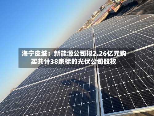海宁皮城：新能源公司拟2.26亿元购买共计38家标的光伏公司股权-第3张图片
