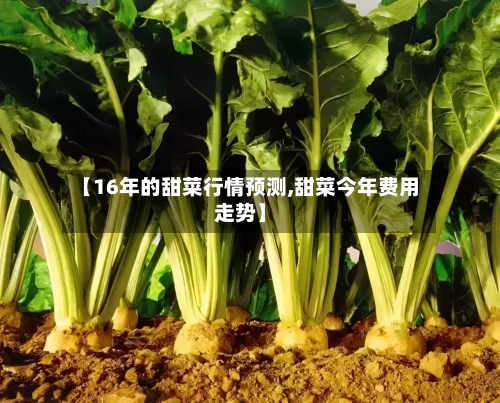 【16年的甜菜行情预测,甜菜今年费用走势】-第2张图片