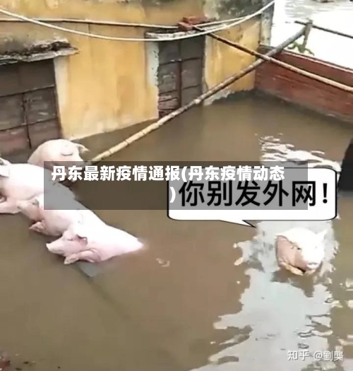 丹东最新疫情通报(丹东疫情动态)