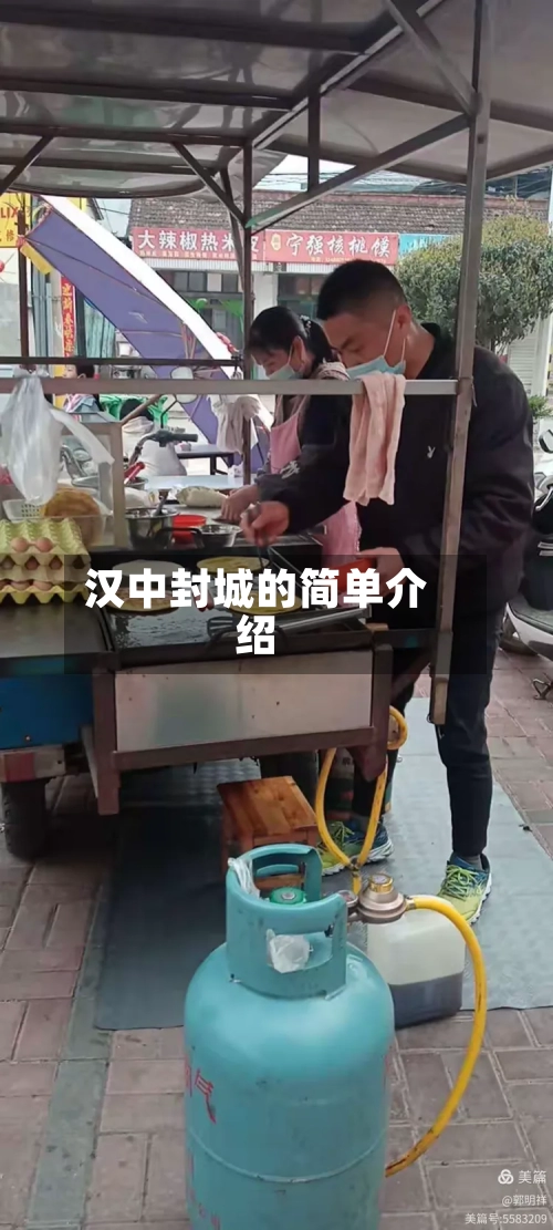 汉中封城的简单介绍
