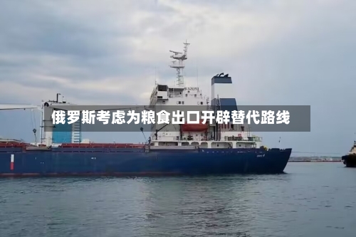 俄罗斯考虑为粮食出口开辟替代路线