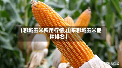 【聊城玉米费用行情,山东聊城玉米品种排名】