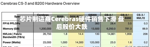 芯片制造商Cerebras硬件销售下滑 盘后股价大跌-第2张图片