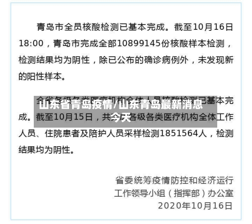 山东省青岛疫情/山东青岛最新消息今天-第3张图片
