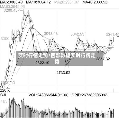 实时行情走势/西部数据实时行情走势-第2张图片