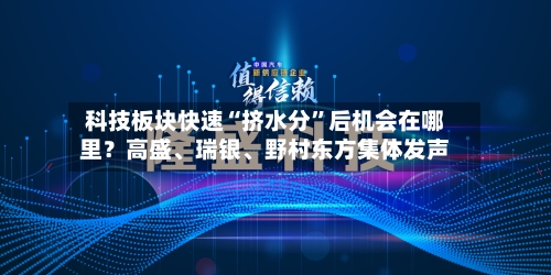 科技板块快速“挤水分”后机会在哪里？高盛、瑞银	、野村东方集体发声-第3张图片