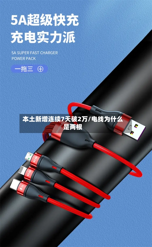 本土新增连续7天破2万/电线为什么是两根