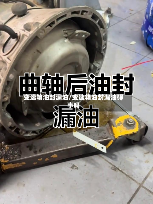 变速箱油封漏油/变速箱油封漏油碍事吗