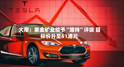 大摩：紫金矿业给予“增持”评级 目标价升至61港元-第3张图片