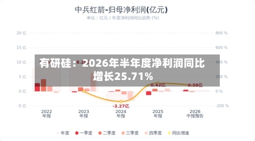 有研硅：2026年半年度净利润同比增长25.71%-第2张图片