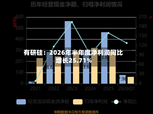 有研硅：2026年半年度净利润同比增长25.71%-第3张图片