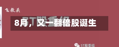 8月，又一翻倍股诞生-第2张图片