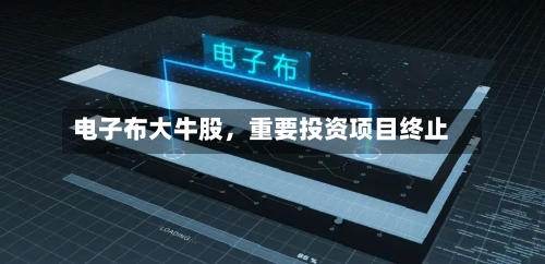 电子布大牛股，重要投资项目终止-第1张图片