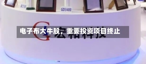 电子布大牛股，重要投资项目终止-第2张图片