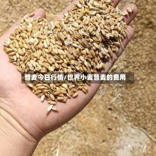 普麦今日行情/世界小麦普麦的费用