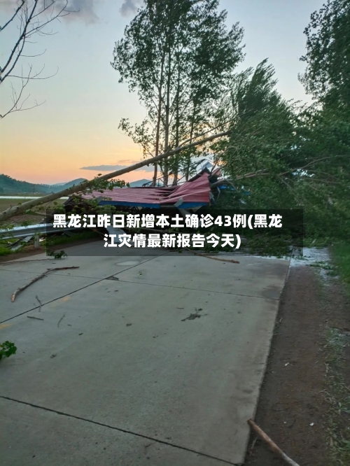黑龙江昨日新增本土确诊43例(黑龙江灾情最新报告今天)-第2张图片