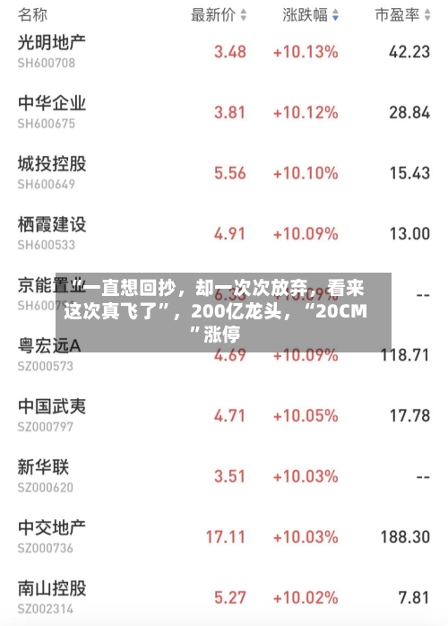 “一直想回抄，却一次次放弃，看来这次真飞了	”	，200亿龙头，“20CM”涨停-第3张图片