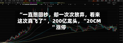 “一直想回抄，却一次次放弃，看来这次真飞了”	，200亿龙头，“20CM	”涨停-第2张图片