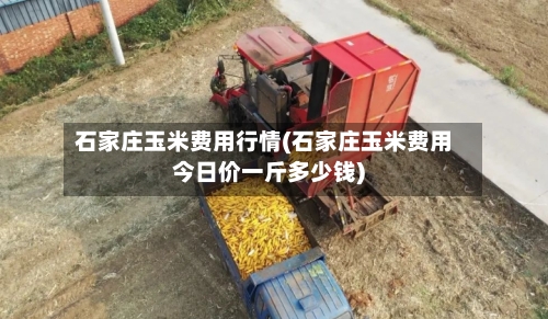 石家庄玉米费用行情(石家庄玉米费用今日价一斤多少钱)-第2张图片