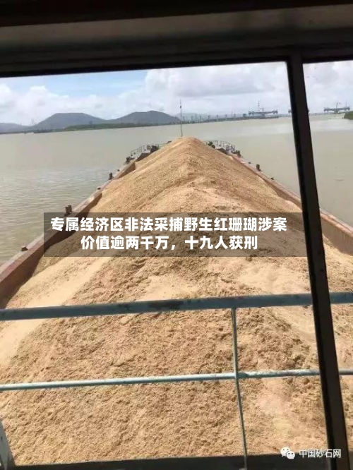 专属经济区非法采捕野生红珊瑚涉案价值逾两千万，十九人获刑-第2张图片