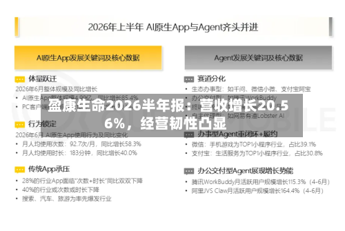 盈康生命2026半年报：营收增长20.56%	，经营韧性凸显-第1张图片