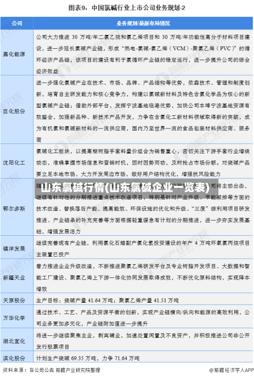 山东氯碱行情(山东氯碱企业一览表)-第3张图片