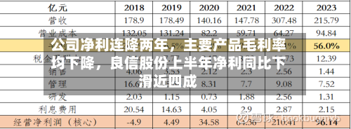 公司净利连降两年	，主要产品毛利率均下降，良信股份上半年净利同比下滑近四成-第2张图片