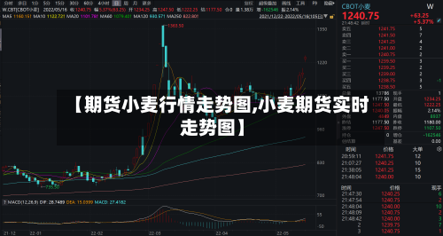 【期货小麦行情走势图,小麦期货实时走势图】-第2张图片