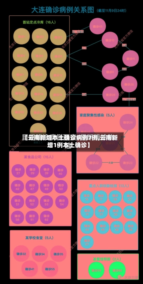 【云南新增本土确诊病例7例,云南新增1例本土确诊】-第3张图片