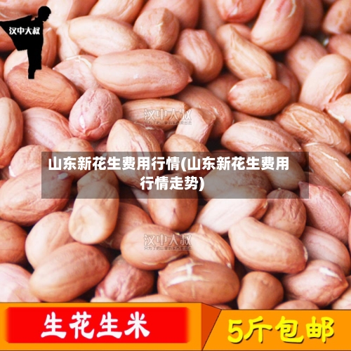 山东新花生费用行情(山东新花生费用行情走势)