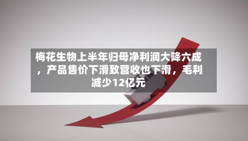 梅花生物上半年归母净利润大降六成	，产品售价下滑致营收也下滑，毛利减少12亿元-第2张图片