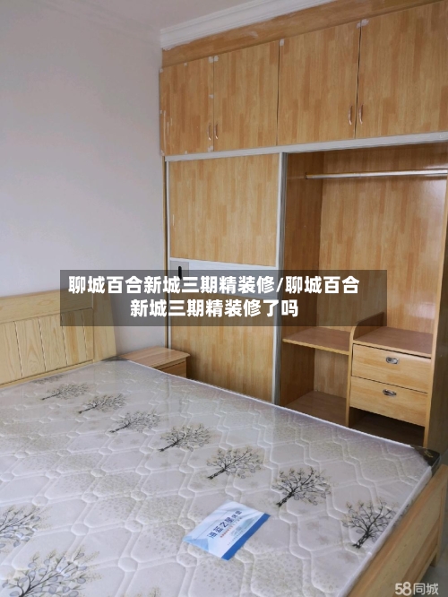 聊城百合新城三期精装修/聊城百合新城三期精装修了吗-第2张图片