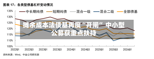摊余成本法债基再度“开闸” 中小型公募获重点扶持-第2张图片