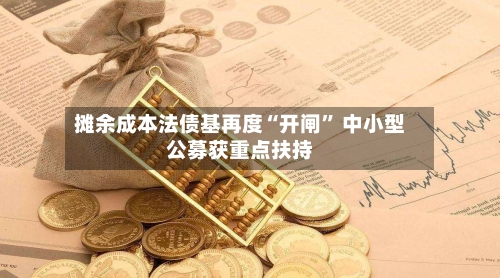 摊余成本法债基再度“开闸” 中小型公募获重点扶持-第3张图片