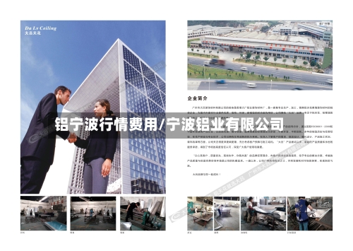 铝宁波行情费用/宁波铝业有限公司-第2张图片