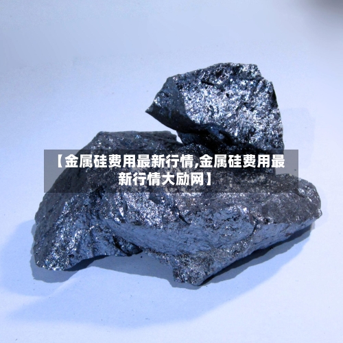 【金属硅费用最新行情,金属硅费用最新行情大励网】-第2张图片