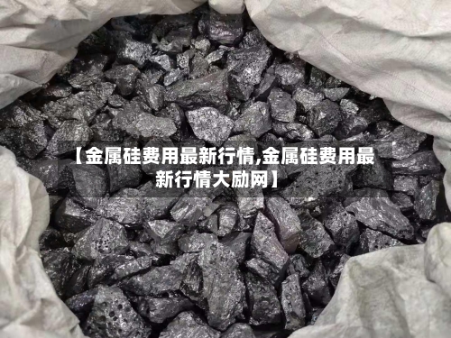 【金属硅费用最新行情,金属硅费用最新行情大励网】