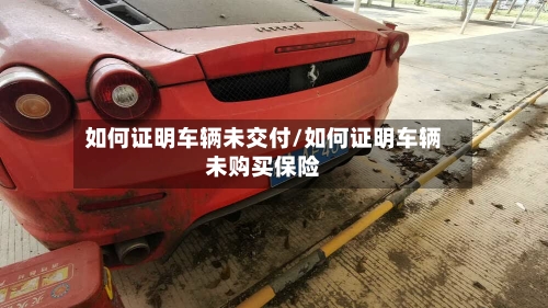 如何证明车辆未交付/如何证明车辆未购买保险-第3张图片