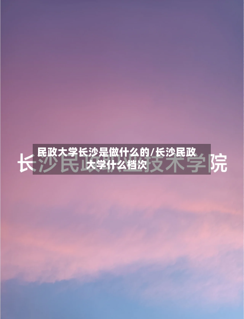 民政大学长沙是做什么的/长沙民政大学什么档次-第2张图片