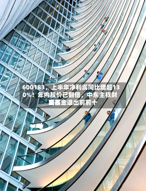 600183，上半年净利润同比增超130%！年内股价已翻倍	，中东主权财富基金退出前前十股东-第1张图片