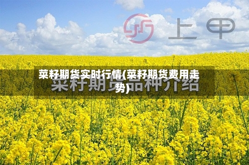 菜籽期货实时行情(菜籽期货费用走势)