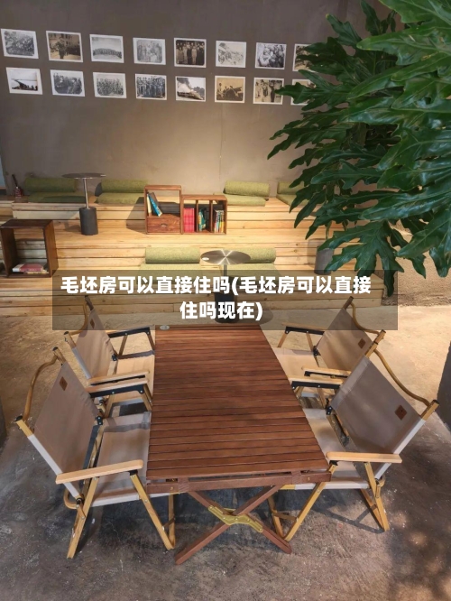 毛坯房可以直接住吗(毛坯房可以直接住吗现在)-第3张图片