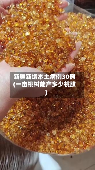 新疆新增本土病例30例(一亩桃树能产多少桃胶)-第3张图片